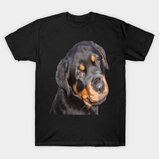 Female Rottweiler Puppy Making Eye Contact Vector T-Shirt